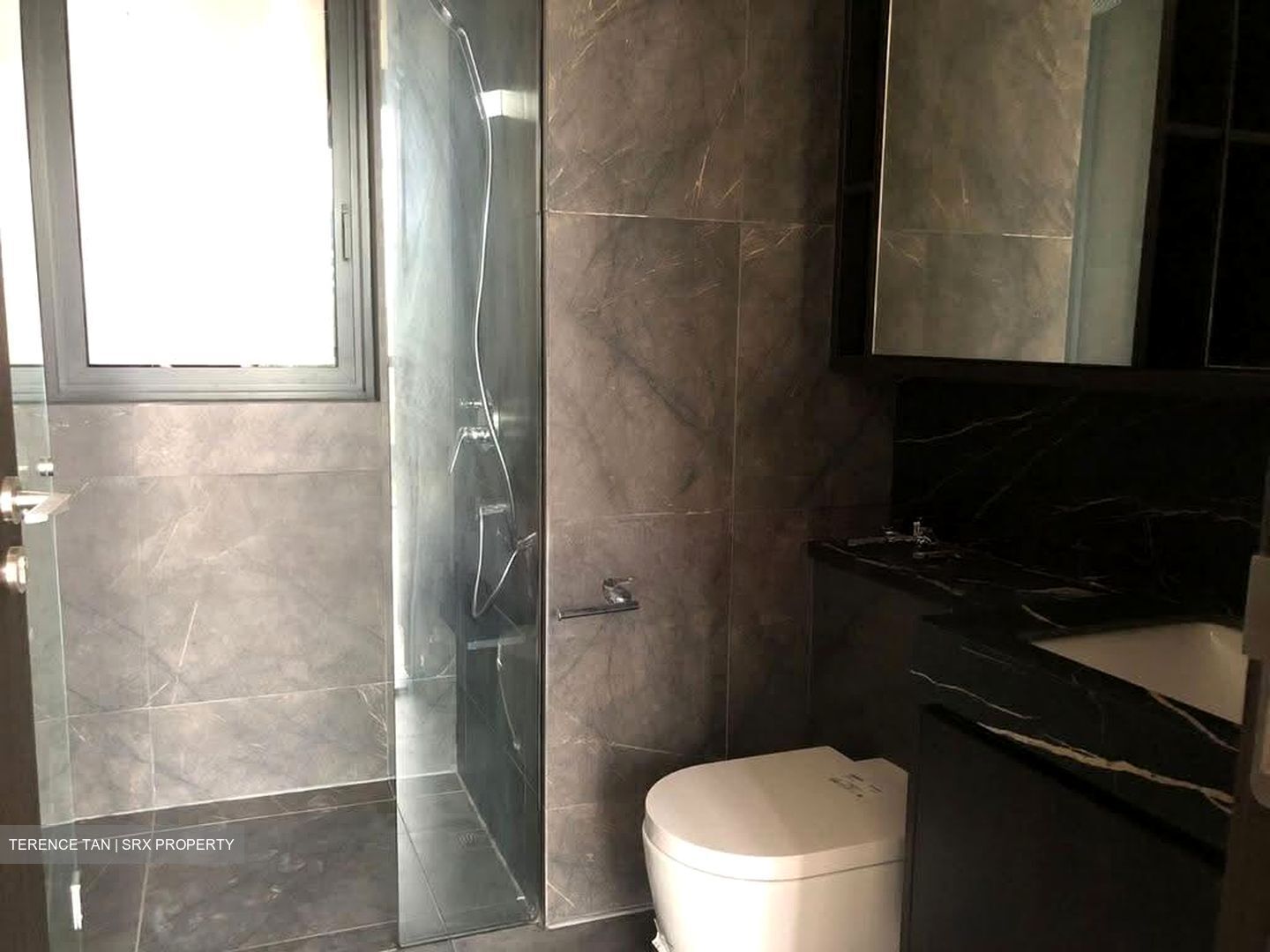 Hyll On Holland (D10), Condominium #612888741